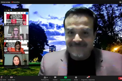 Captura de pantalla de la sesión virtual