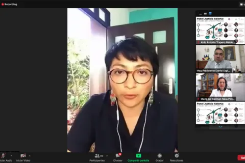 Captura de pantalla de la sesión virtual