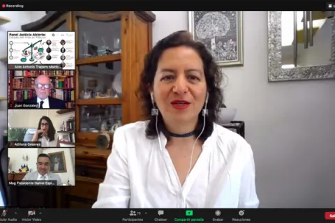 Captura de pantalla de la sesión virtual