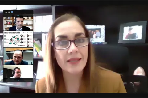 Captura de pantalla de la sesión virtual