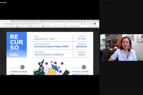 Captura de pantalla de la sesión virtual