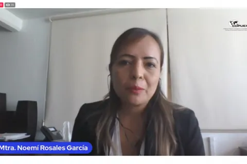 Captura de pantalla de la sesión virtual