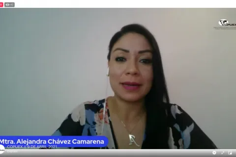 Captura de pantalla de la sesión virtual