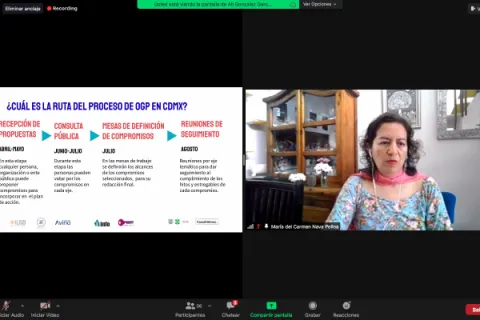 Captura de pantalla de la sesión virtual