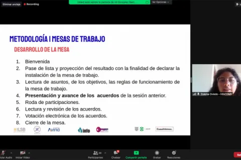 Captura de pantalla de la sesión virtual
