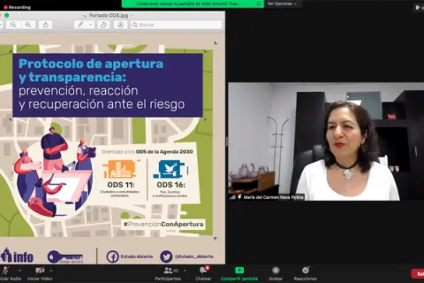 Captura de pantalla de la sesión virtual
