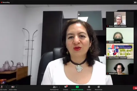 Captura de pantalla de la sesión virtual