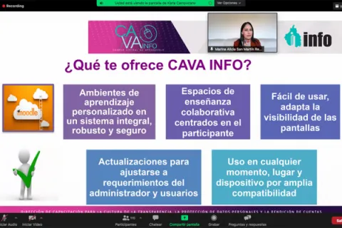 Captura de pantalla de la sesión virtual