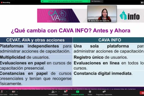 Captura de pantalla de la sesión virtual