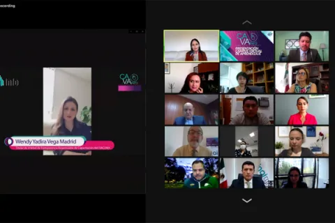 Captura de pantalla de la sesión virtual