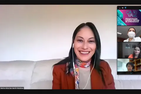 Captura de pantalla de la sesión virtual