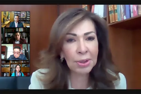 Captura de pantalla de la sesión virtual