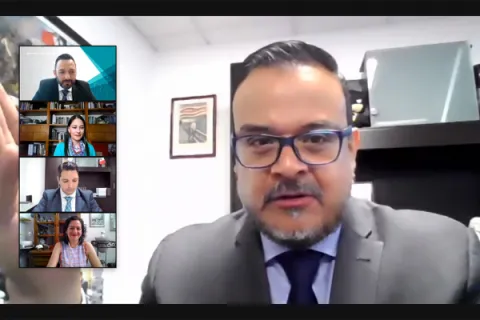 Captura de pantalla de la sesión virtual