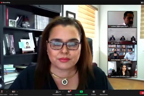 Captura de pantalla de la sesión virtual