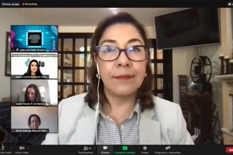 Captura de pantalla de la sesión virtual