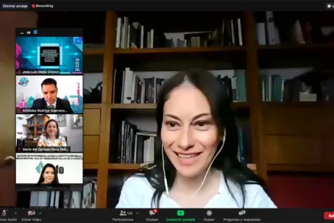 Captura de pantalla de la sesión virtual