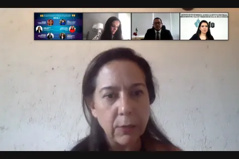 Captura de pantalla de la sesión virtual