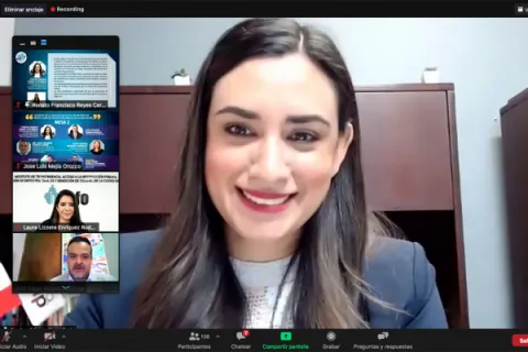 Captura de pantalla de la sesión virtual