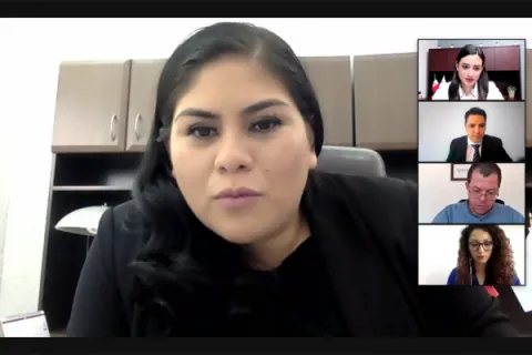 Captura de pantalla de la sesión virtual