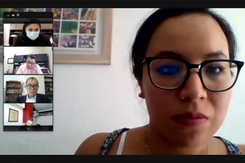 Captura de pantalla de la sesión virtual