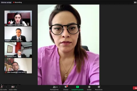 Captura de pantalla de la sesión virtual