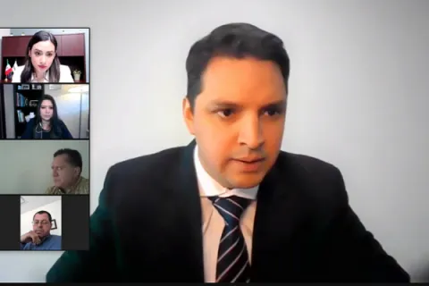 Captura de pantalla de la sesión virtual