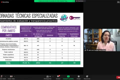 Captura de pantalla de la sesión virtual