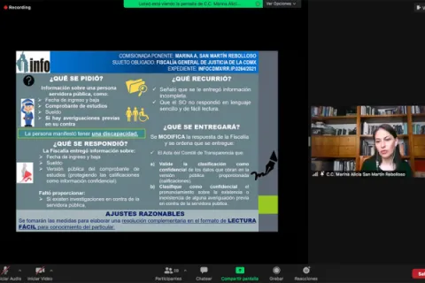 Captura de pantalla de la sesión virtual