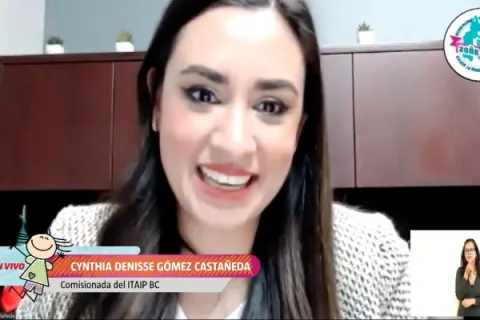 Captura de pantalla de la sesión virtual