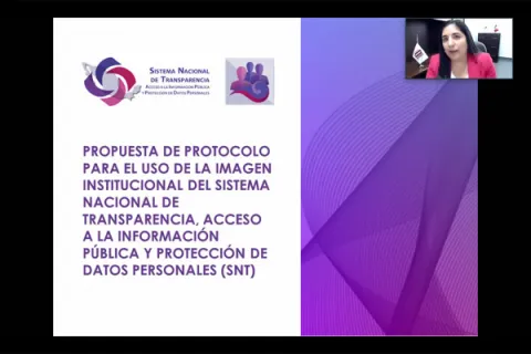 Captura de pantalla de la sesión virtual