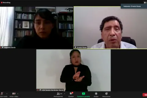 Captura de pantalla de la sesión virtual