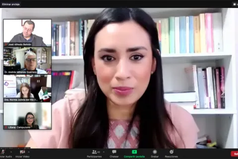 Captura de pantalla de la sesión virtual