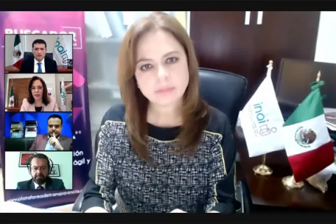 Captura de pantalla de la sesión virtual