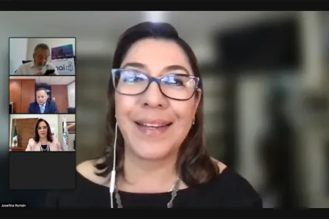 Captura de pantalla de la sesión virtual