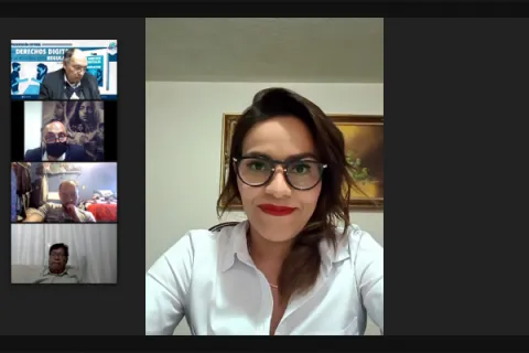 Captura de pantalla de la sesión virtual