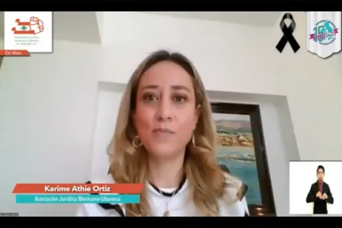 Captura de pantalla de la sesión virtual