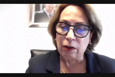 Captura de pantalla de la sesión virtual