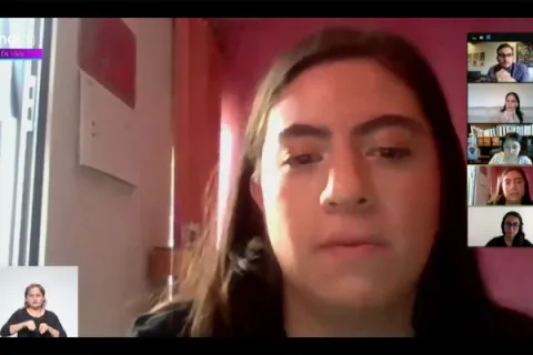 Captura de pantalla de la sesión virtual