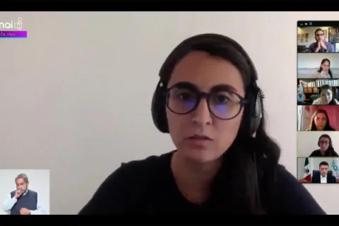 Captura de pantalla de la sesión virtual