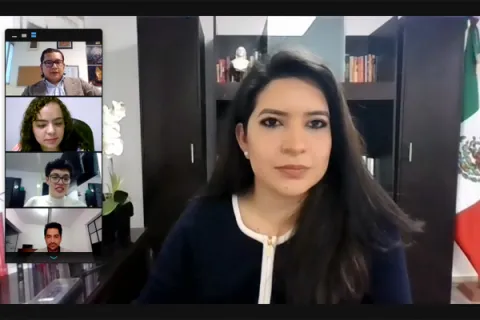 Captura de pantalla de la sesión virtual