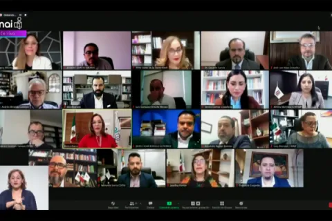 Captura de pantalla de la sesión virtual