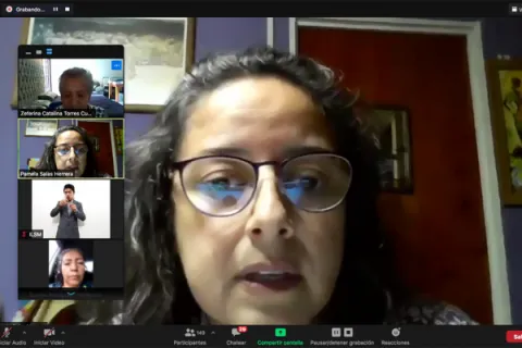 Captura de pantalla de la sesión virtual
