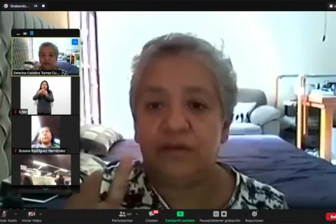 Captura de pantalla de la sesión virtual