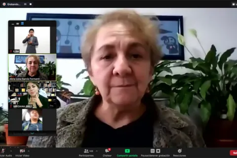 Captura de pantalla de la sesión virtual