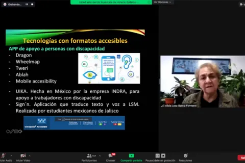 Captura de pantalla de la sesión virtual