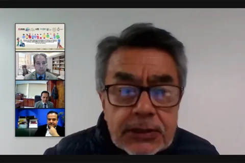 Captura de pantalla de la sesión virtual
