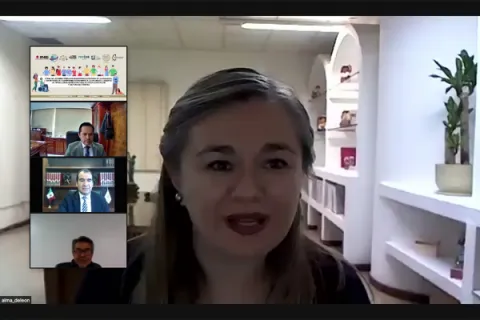 Captura de pantalla de la sesión virtual