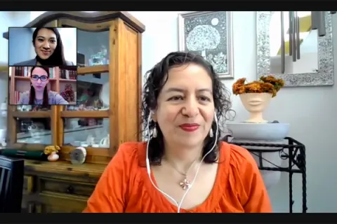 Captura de pantalla de la sesión virtual