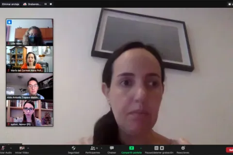 Captura de pantalla de la sesión virtual