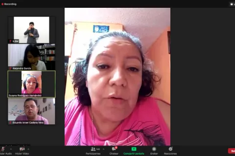 Captura de pantalla de la sesión virtual